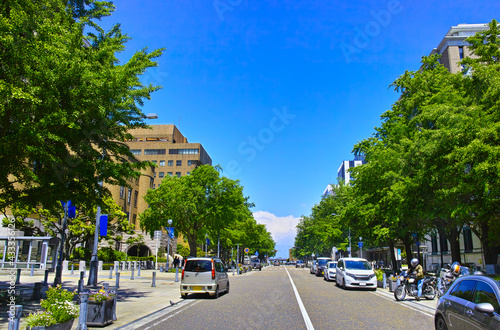 新緑の横浜。日本大通りの街並み。  © 7maru