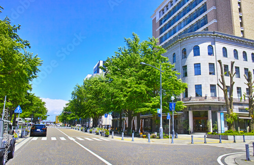 新緑の横浜。日本大通りの街並み。
