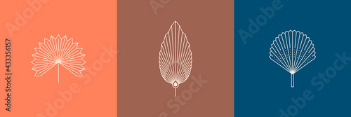 Set of Dried Palm Leaves in a Trendy Minimal Linear Style. Vector Tropical Leaf Boho Emblem. Floral Illustration
