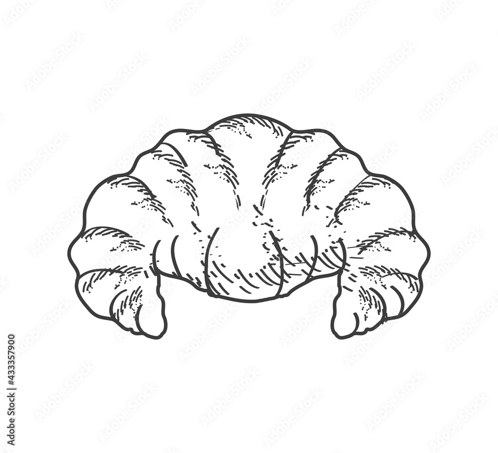 croissant baked sketch croissant baked sketch