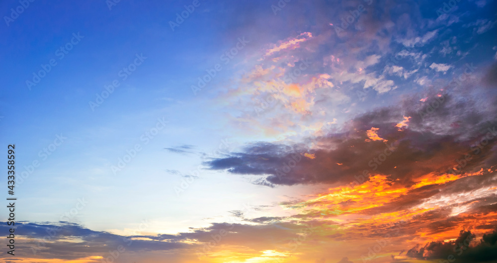 World environment day concept: Panoramic photo bright spring sunset with blue sky