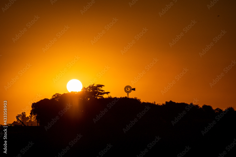 Obraz premium Black & Yellow IV