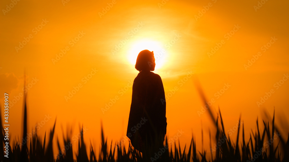 Fototapeta premium silhouette of a person at sunset