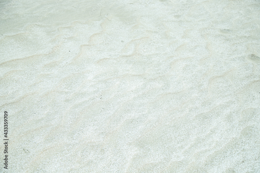 Obraz premium 癒しの白浜