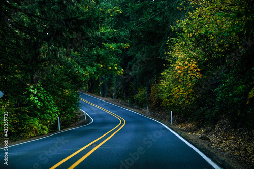 Countryside Road autumn season in Washington State Park, USA