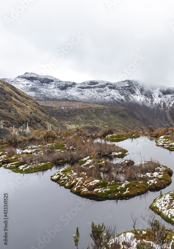 Landscapes of the Los Nevados National Natural Park in Manizales  Caldas  Colombia.