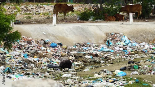 Devastating garbage covering the landscape of Son Hai near Phan Rang Vietnam. Environmental Tragedy.