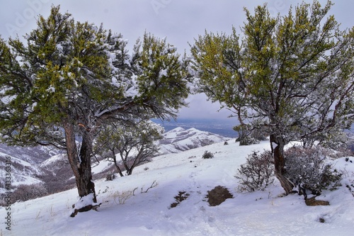 Little Black Mountain Peak hiking trail views by Salt Lake City, in winter snowscape via Bonneville Shoreline Trail, Wasatch Front Rocky Mountains, Utah. United States.