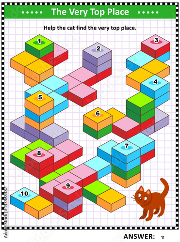 Visual puzzle with cat and building blocks: Help the cat find the very top place. Answer included.
