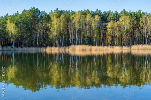 Spring forest on a calm lake in Ukraine. Nature and travel concept © OlegD