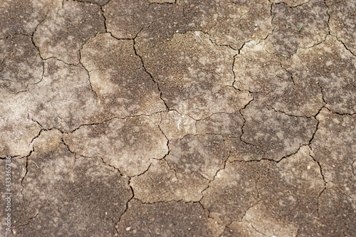 texture of the ground in the fields Ground crack drought background image