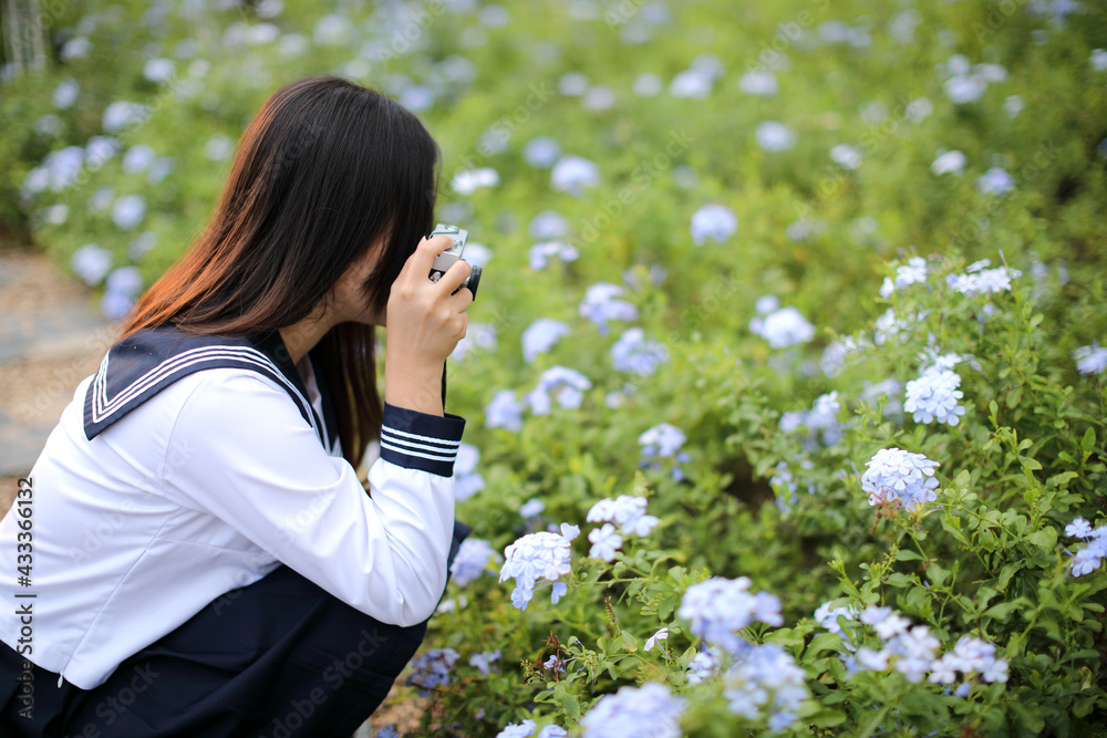 Asian school girl with camera taking photo a flowers in garden Asian school girl with camera taking photo a flowers in garden