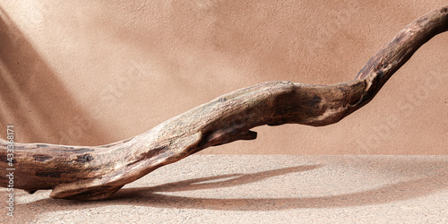 Fototapeta Naklejka Na Ścianę i Meble -  Minimal mockup beige background for product presentation, banner design, offer template. Light and shadows, dry tree branch minimalistic scene. 3d rendering illustration.