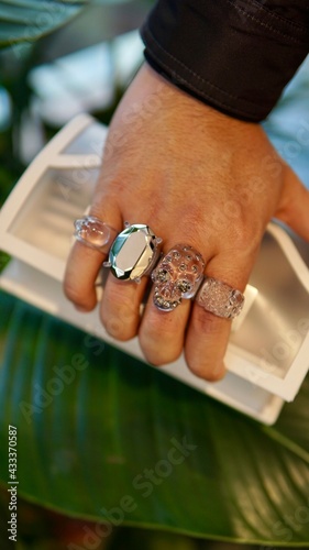 Obraz na płótnie Skull Ring Handbag