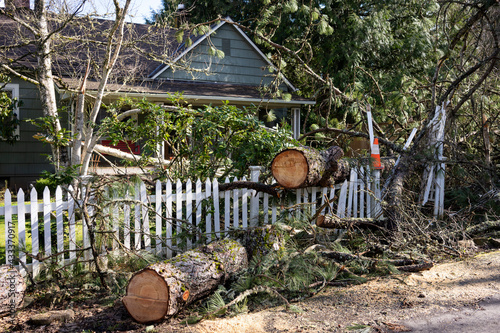 Fényképezés Fallen tree in the front yard of a residential home after storm