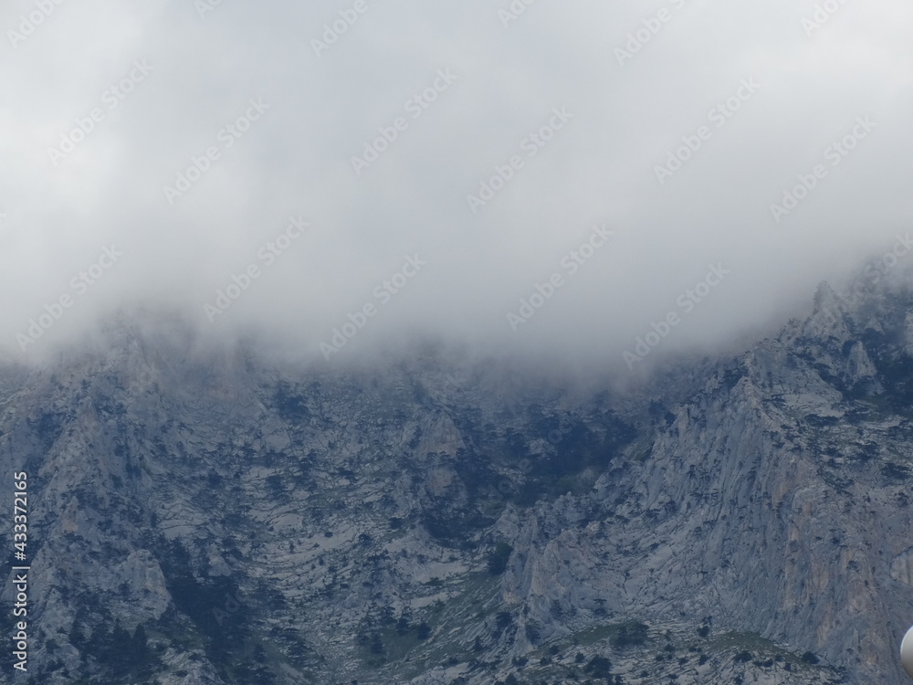 fog in the mountains