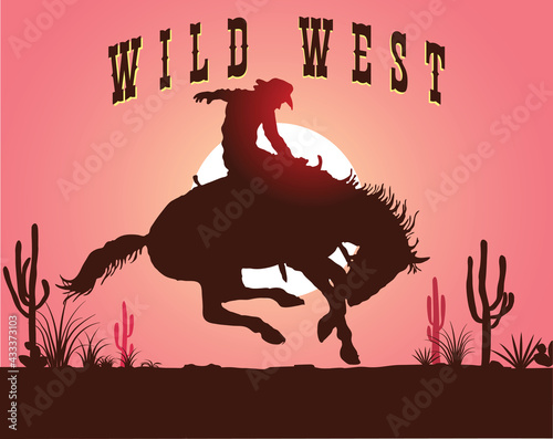 vector image of a cowboy on a horse on the background of the setting sun wild west