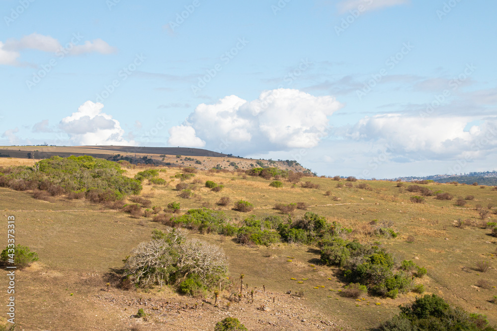 View of South African Bushveld into the Valley Below View of South African Bushveld into the Valley Below