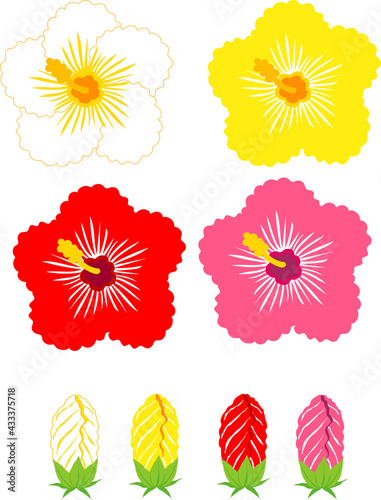 ハイビスカスの花と蕾のイラスト素材