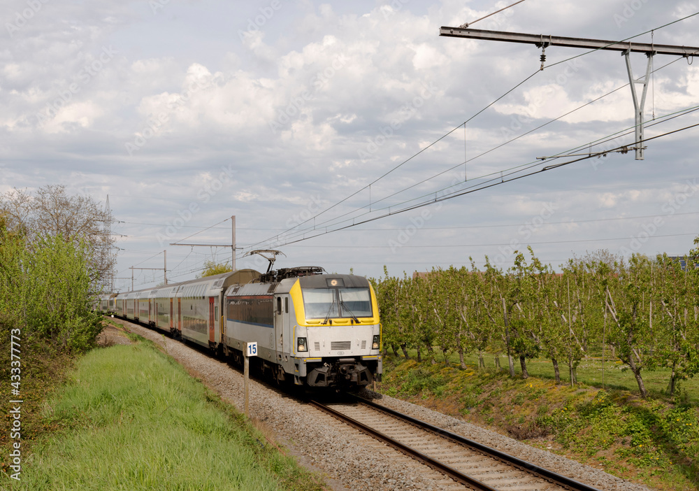 Fototapeta premium Train in the countryside. Walking towards. Front side. Train in Belgium
