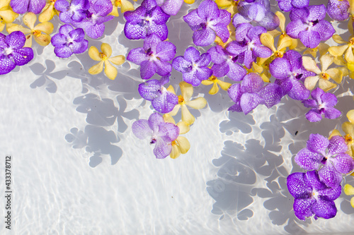 orchid flower on  water surface
