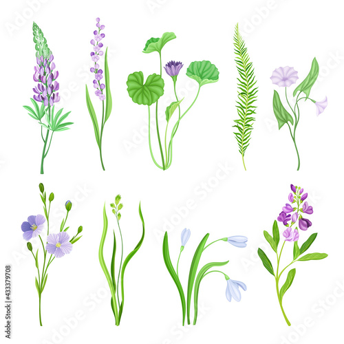 Violet Flowers or Blossom on Leafy Stalk or Stem Vector Set