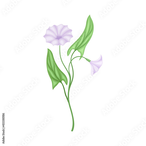 Violet Flower or Blossom on Leafy Stalk or Stem Vector Illustration