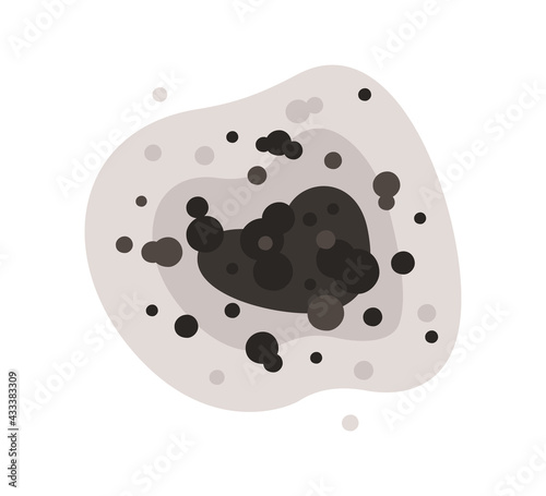 Black mold spot. Toxic mold spores. Black fungus Mucormycosis. Fungi and bacteria. Tooth decay. Stain on the house wall. Isolated vector illustration on white background.