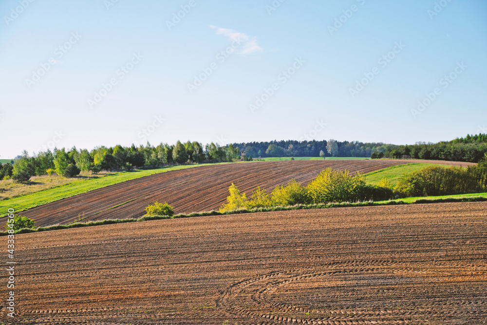 Countryside landscape in Poland fields and meadows