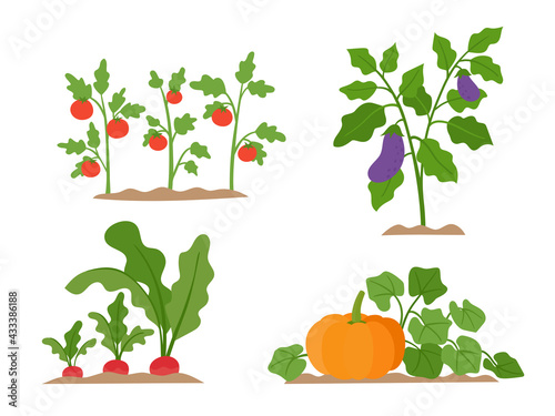 Organic production cartoon vector illustration with vegetables