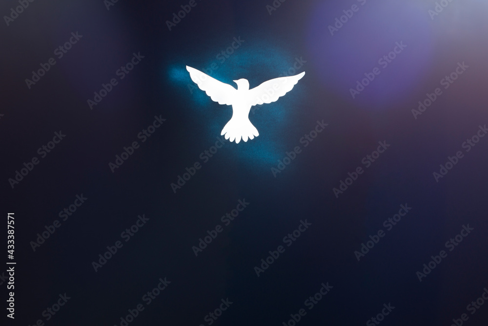 White dove silhouette on dark background with blue and purple light glares. - obrazy, fototapety, plakaty 