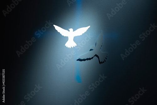 Two Doves silhouettes over a blue cross on dark background.