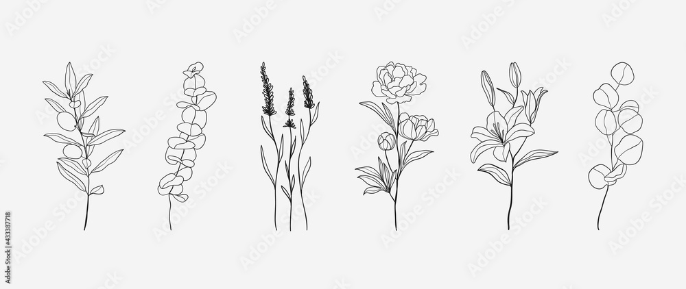 Minimal botanical hand drawing design for logo and wedding invitation. Floral line art. Flower and leaves design collection for bouquets decoration, card and packaging background. Minimal botanical hand drawing design for logo and wedding invitation. Floral line art. Flower and leaves design collection for bouquets decoration, card and packaging background.
