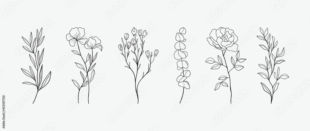 Fototapeta premium Minimal botanical hand drawing design for logo and wedding invitation. Floral line art. Flower and leaves design collection for bouquets decoration, card and packaging background.