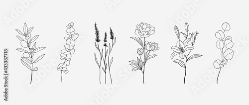 Minimal botanical hand drawing design for logo and wedding invitation. Floral line art. Flower and leaves design collection for bouquets decoration, card and packaging background.