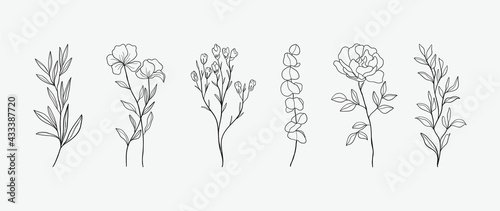 Minimal botanical hand drawing design for logo and wedding invitation. Floral line art. Flower and leaves design collection for bouquets decoration, card and packaging background.