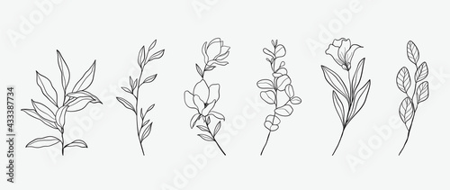 Minimal botanical hand drawing design for logo and wedding invitation. Floral line art.  Flower and leaves design collection for bouquets decoration  card and packaging background.