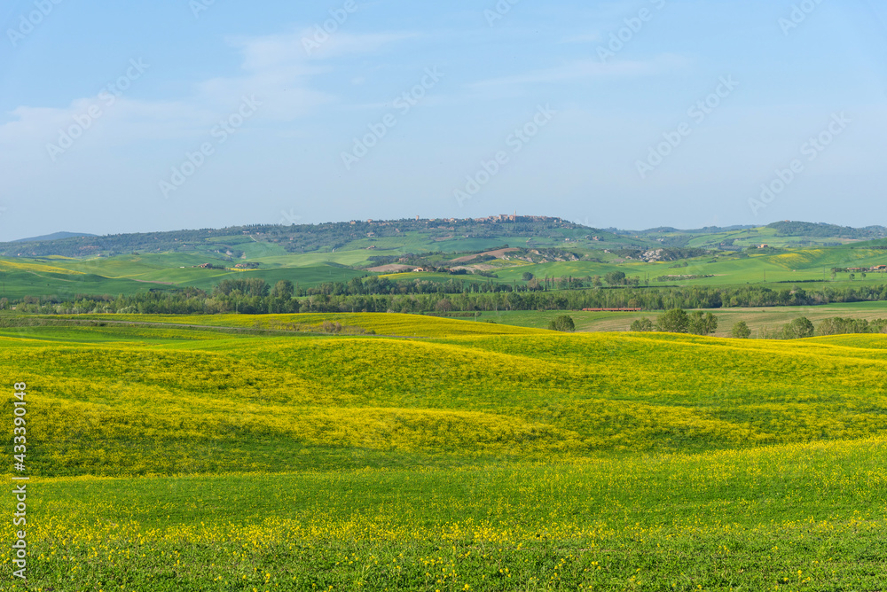 Amazing spring view of medieval small town with cypress trees and colorful spring flowers in Tuscany, Italy. Typical Tuscany scenic landscape.