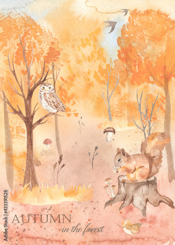 Watercolor card with autumn landscape  autumn forest  squirrel on a stump  owl  mushrooms  tree  glade
