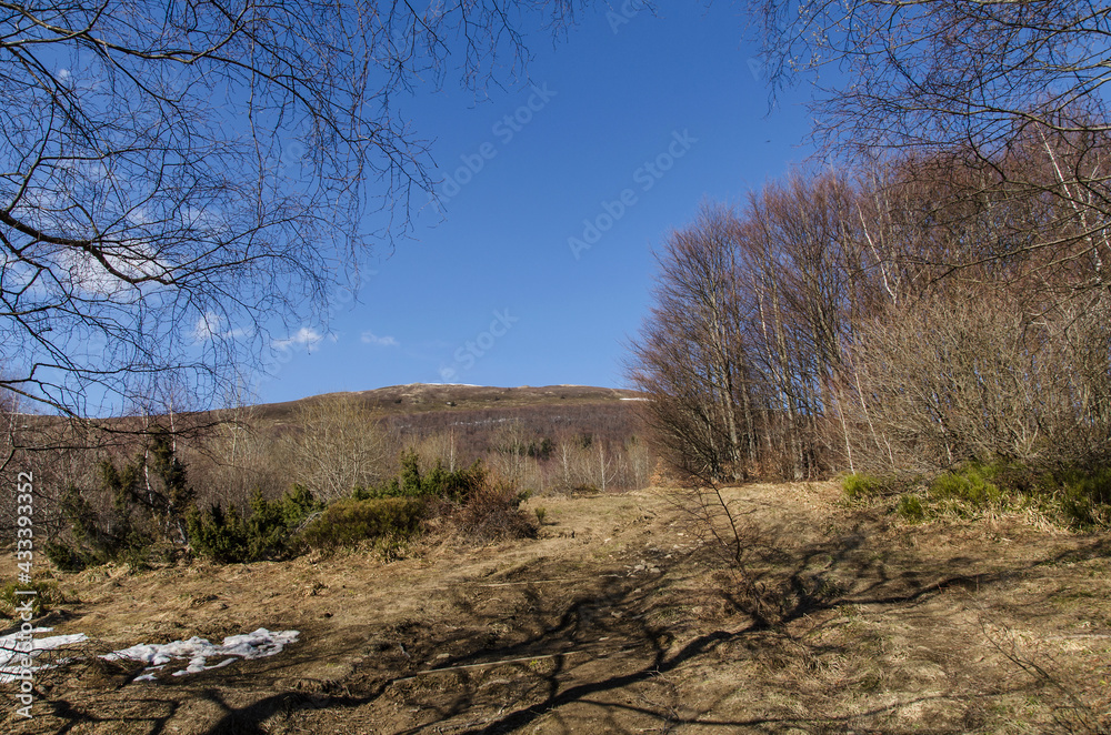 Bieszczady Bieszczady