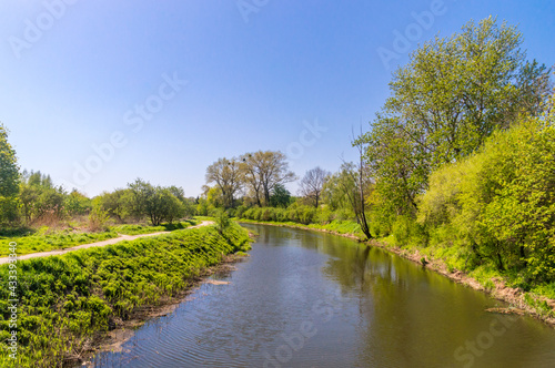 Spring scenery of Motlawa river in Poland.