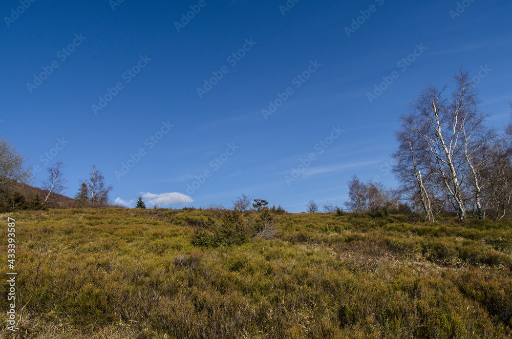 Bieszczady Bieszczady