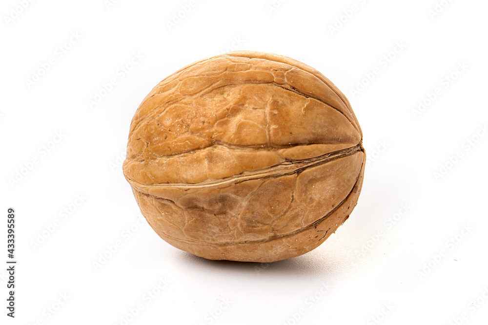 One walnut isolated on a white background. One walnut isolated on a white background.