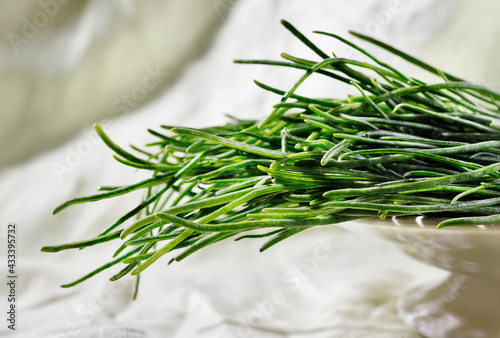 Foto Fresh agretti -salsola soda -