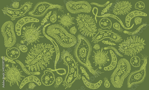 Microbes. Design set. Editable hand drawn illustration. Isolated on color background. 8 EPS photo