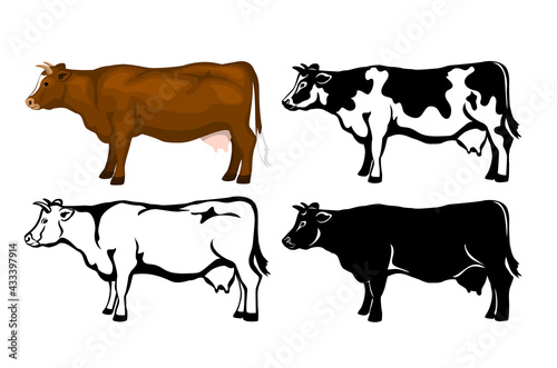 Cow in brown color, silhouette, contour and patched silhouette set photo