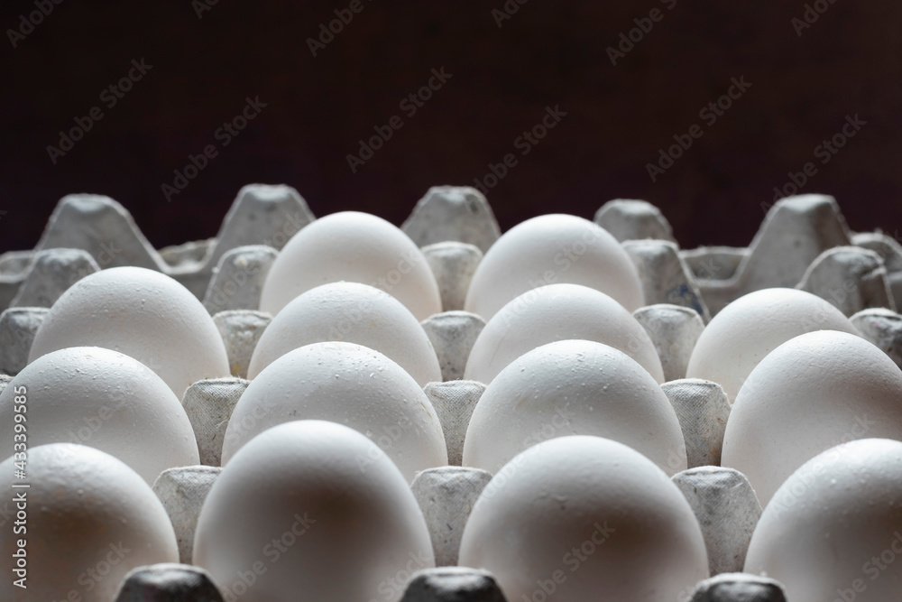 Obraz premium rows of white poultry eggs