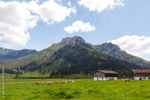 Mountain Hörndlwand in bavarian Alps