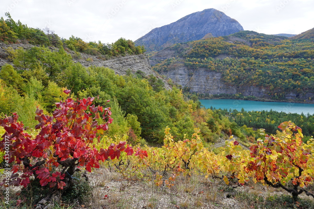 autumn colors in the mountains by Serre Ponçon lake and vineyard in the southern Alps, France