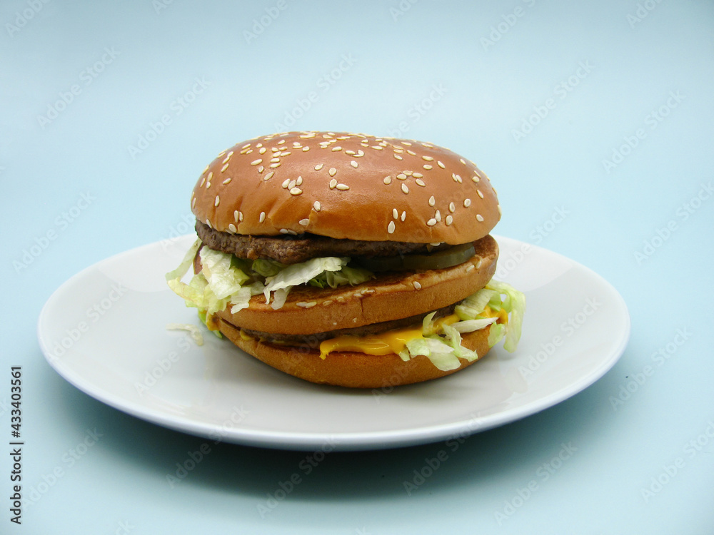 hamburger with beef and vegetables on a plate. hamburger with beef and vegetables on a plate.